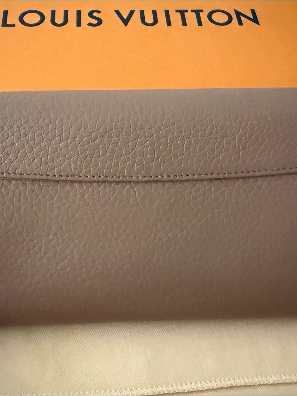 Louis Vuitton Portefeuille Capucines Long Wallet with Gold LV Emblem - Picture 4 of 14